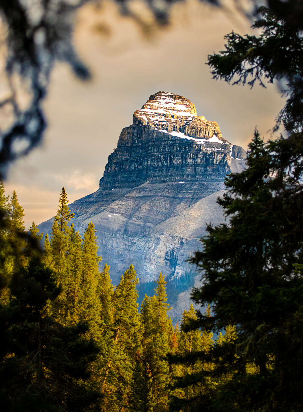 Sunlit mountain peak framed by evergreen trees